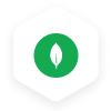 MongoDB